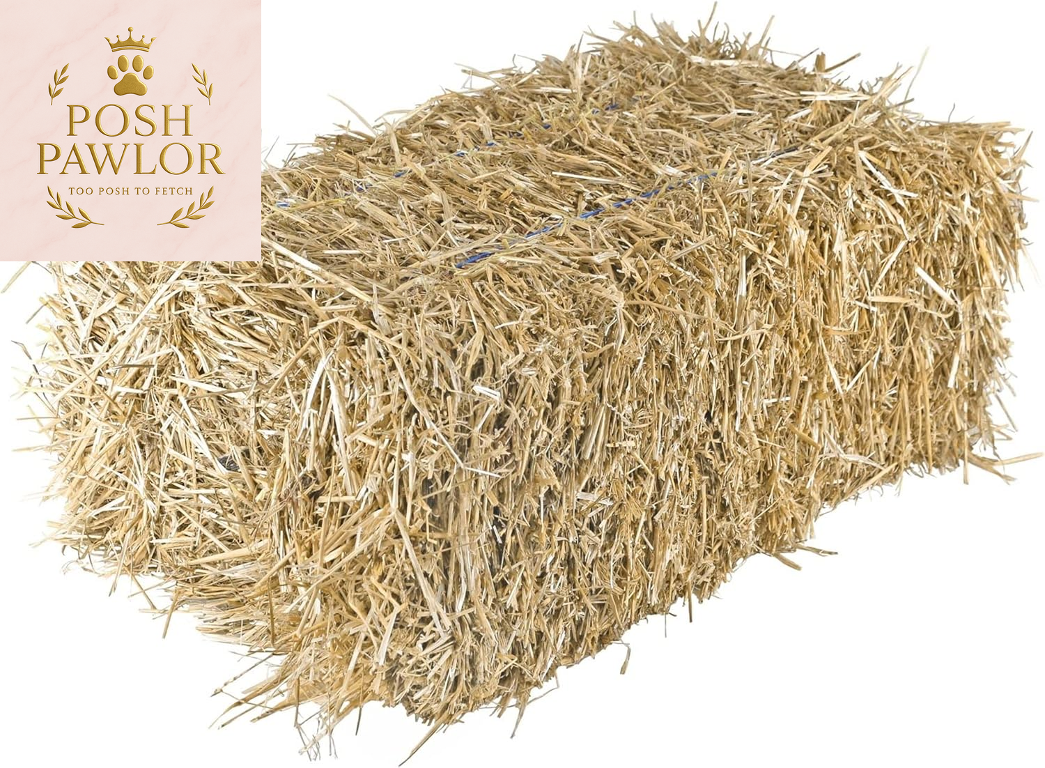 Straw Bale by , Multi-Use for Farm & Home, Medium Straw Bale, 22"