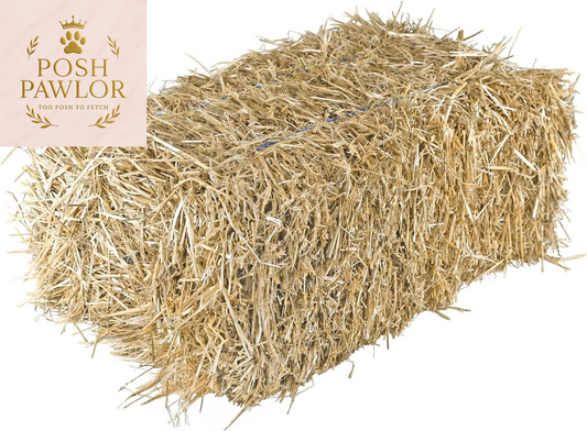 Straw Bale by , Multi-Use for Farm & Home, Medium Straw Bale, 22"