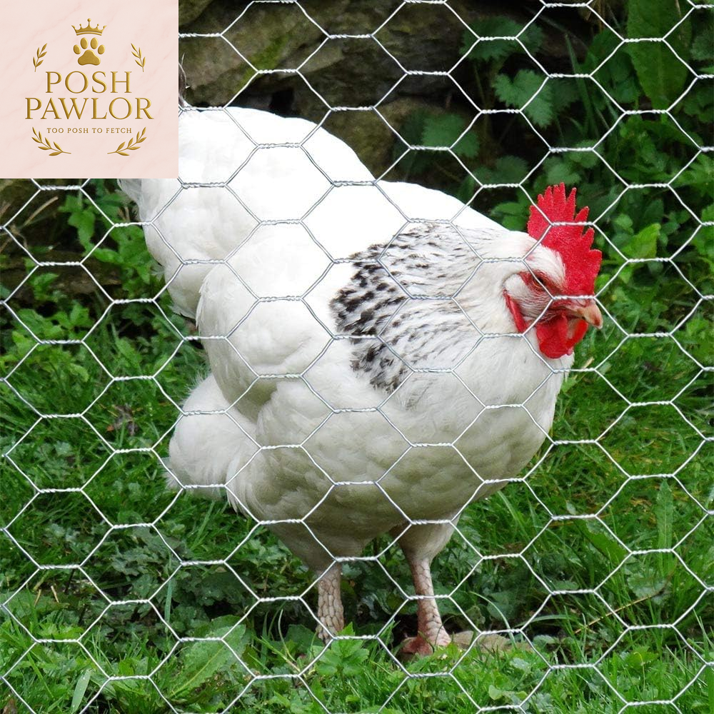 20GA Galvanized Hexagonal Poultry Netting Chicken Wire 18 Inches X 50 Feet X 1 Inch Mesh