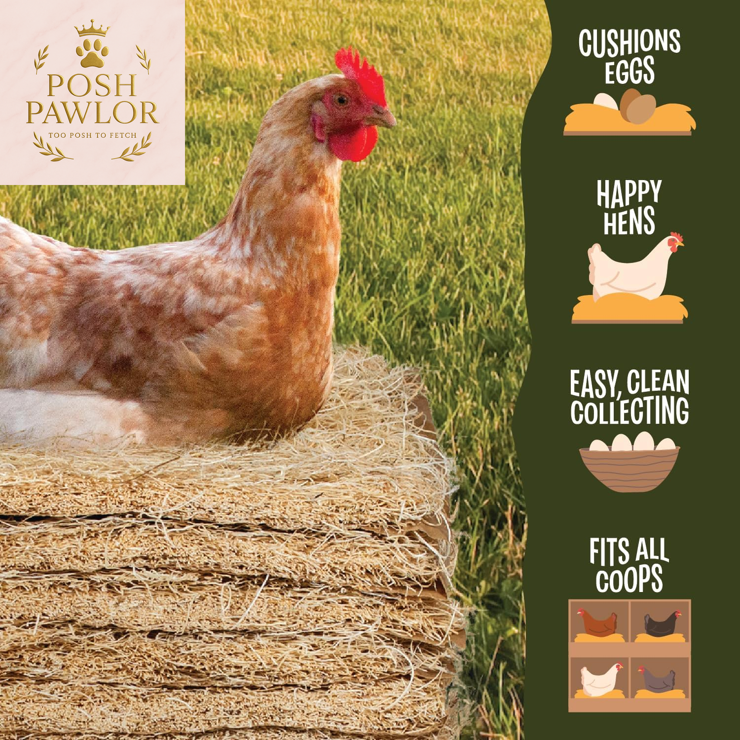 Premium Aspen 12 Pack Excelsior Nesting Liners (12 Pack), Chicken Bedding for Nesting Box, Nesting Pads Box Liners, Chicken Bedding for Coop, Chick Bedding, USA Grown & Sustainably Harvested
