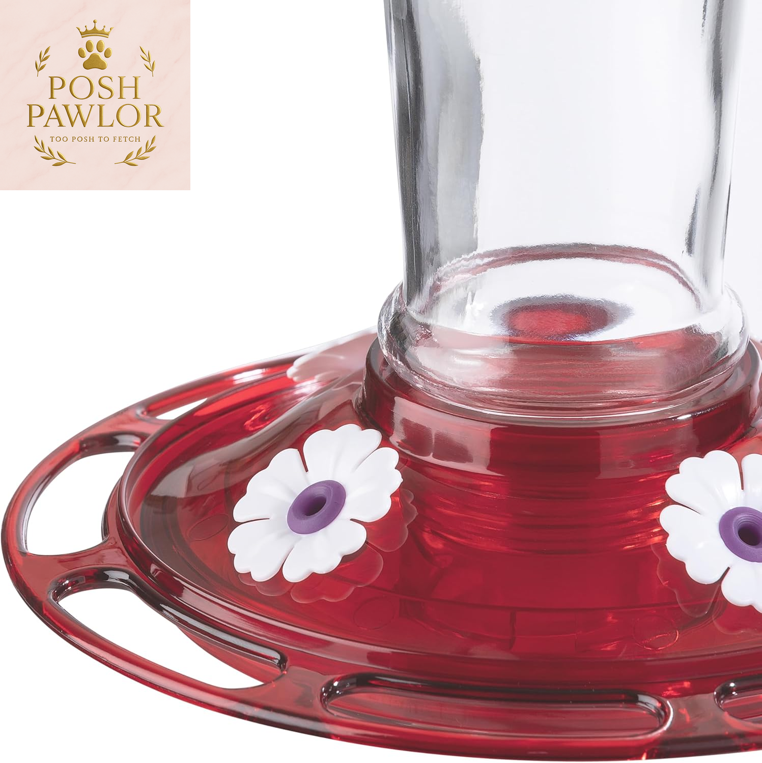 Bird Health+ Ruby Hummingbird Feeder, Glass Hummingbird Feeders for Outdoors, 4 Feeding Stations, 10 Ounces, Ruby Red