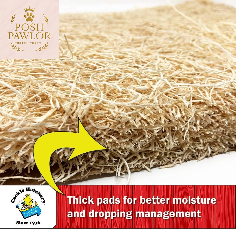 Laying Hen Nest Box Pads Made in USA from Sustainable Aspen Exceslior - 13X13 Nesting Box Liners (24 Pack)