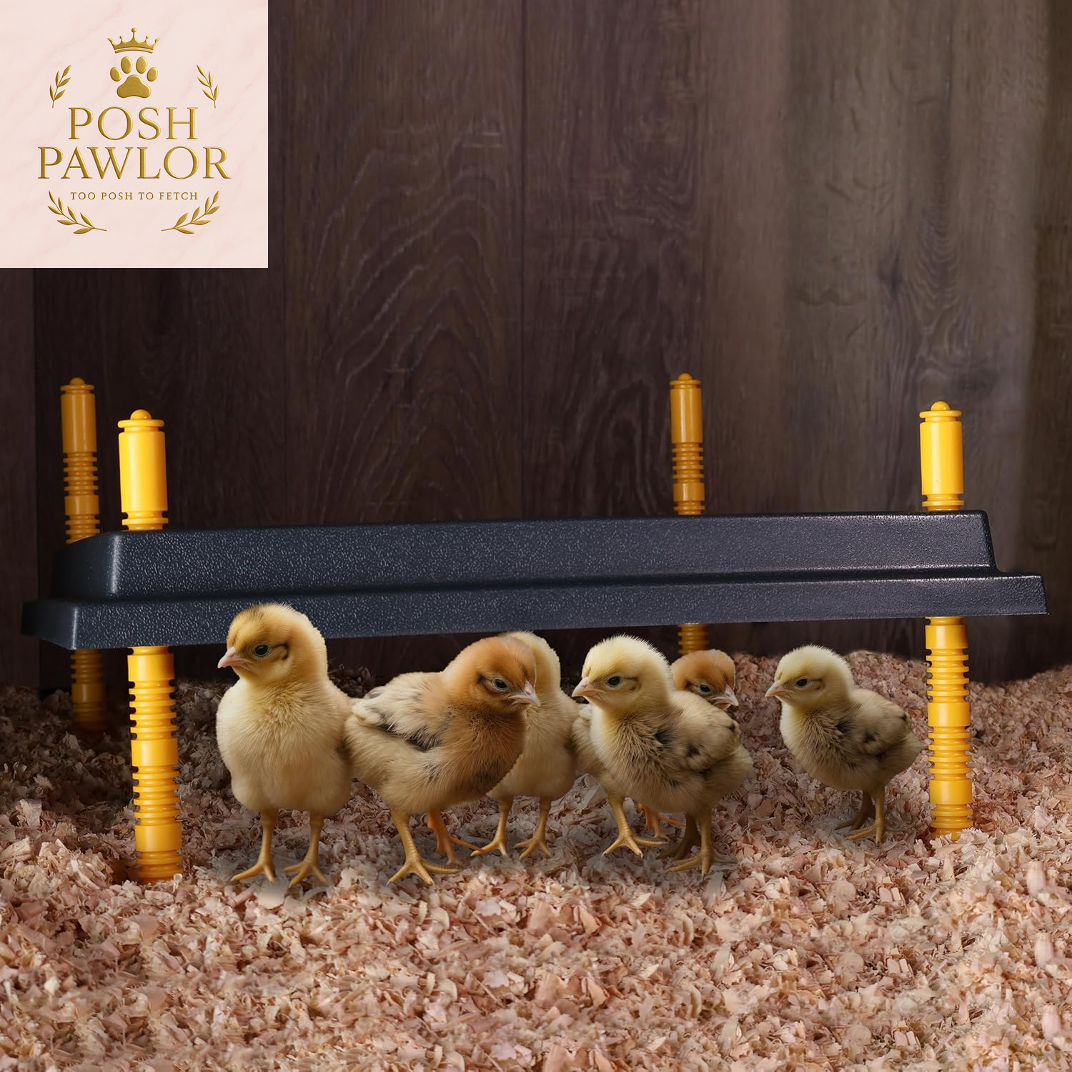 Chick Heating Plate Brooder Plate - 10 Inch Brooder Heat Plate for Chicks and Ducklings with Adjustable Height