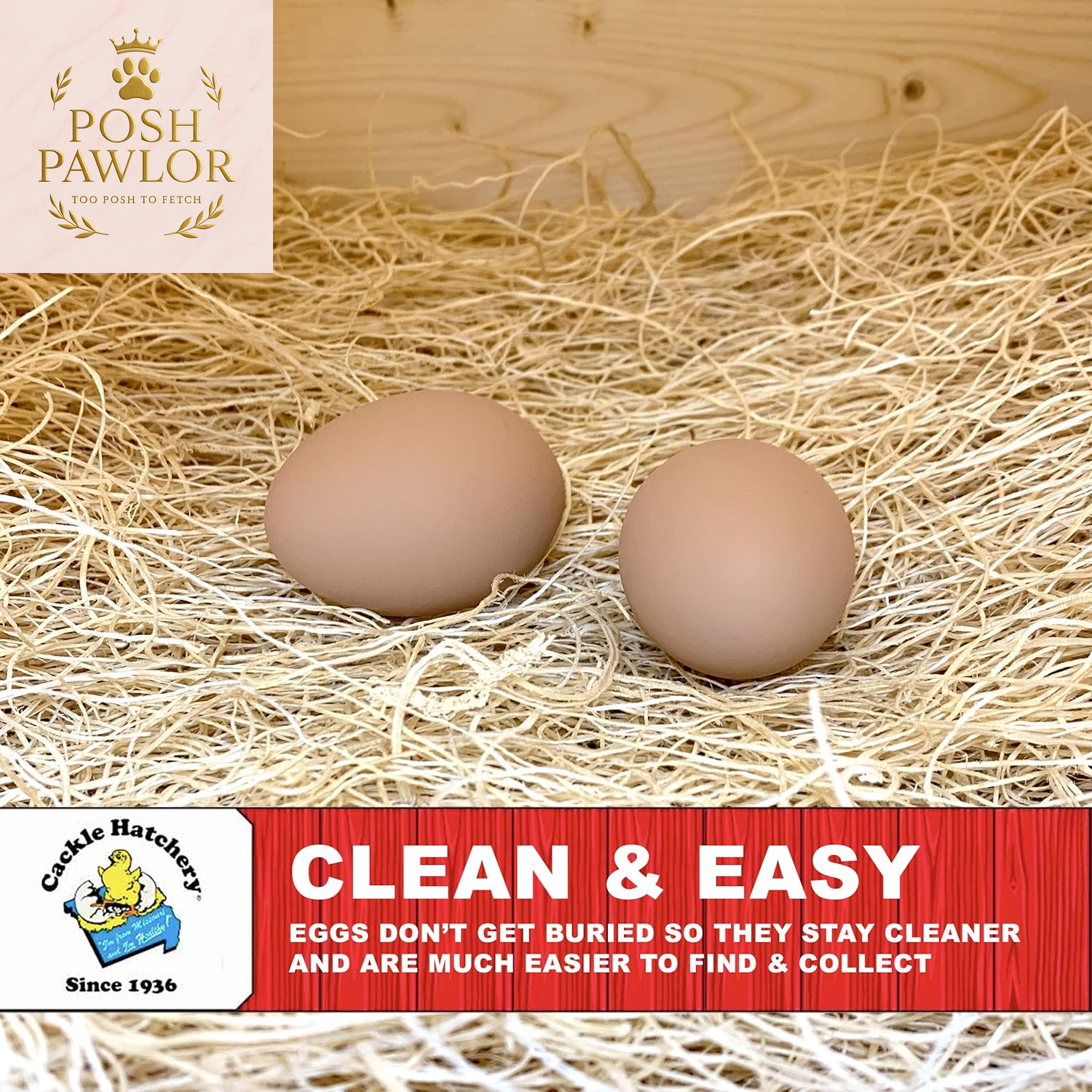 Laying Hen Nest Box Pads Made in USA from Sustainable Aspen Exceslior - 13X13 Nesting Box Liners (24 Pack)
