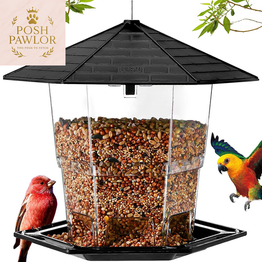 Bird Feeders for Outdoors Hanging Bird Feeder Wild Birds Seed, Black